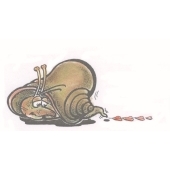 Schnecke verliebt - F-5501