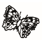 Schmetterling - 1018