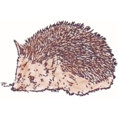 Igel - D-787