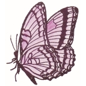 Schmetterling - F-721