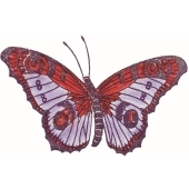 Schmetterling - G-618
