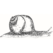 Schnecke - E-8100