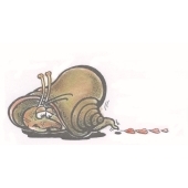 Snail in love - F-5501