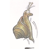 Snail jumping - F-5502