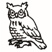 Owl - 1023