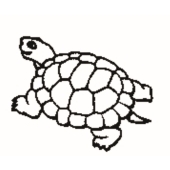 Turtle - 1047