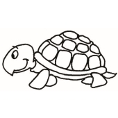 Turtle - 2032