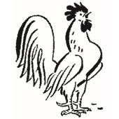 Cock - 2059