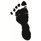 Baby foot, left - F-1801