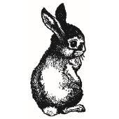 Baby Bunny - D-1739
