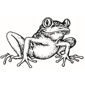 Frog - D-845