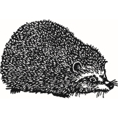Small Hedgehog - B-1481