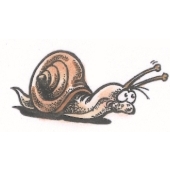 Escargot &#224; droite - D-5510