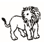 Lion - 1025