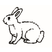 Coq lapin - 1039